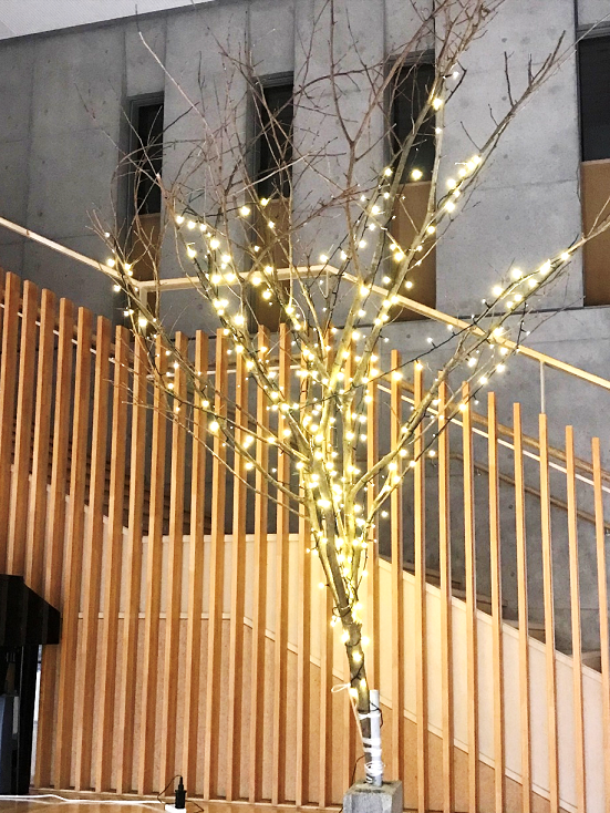 11月22日の画像1