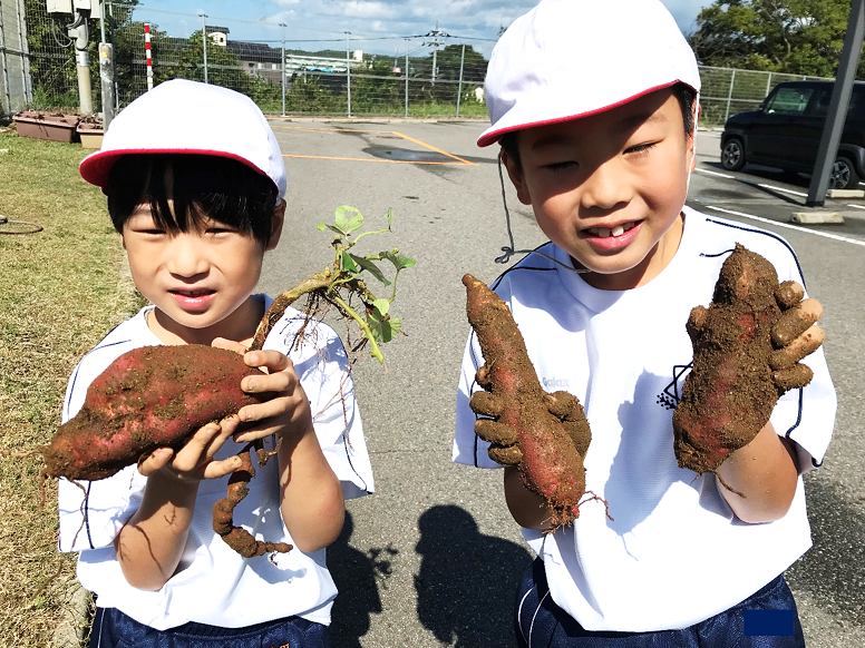 10月11日の画像1