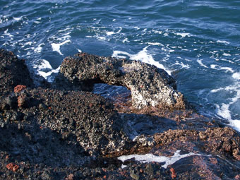 めぐり（繋船孔）の画像