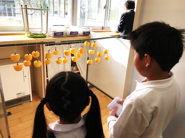 ころがきを眺める児童の写真