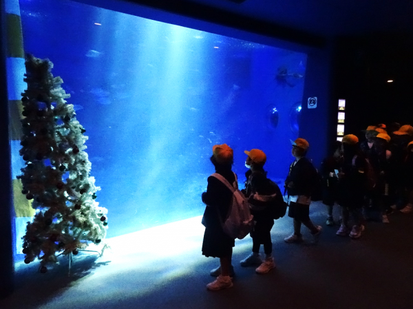 のとじま水族館の様子