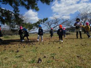 松ぼっくりで遊んでいる写真