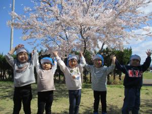 ぱんだ組が桜の木の下で記念撮影をしている写真