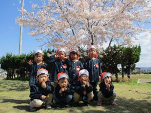 こあら組が桜の木の下で記念撮影をしている写真