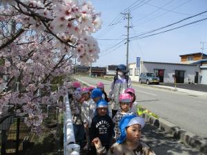 桜を見ながら歩いている写真
