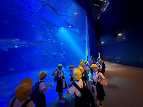 水族館