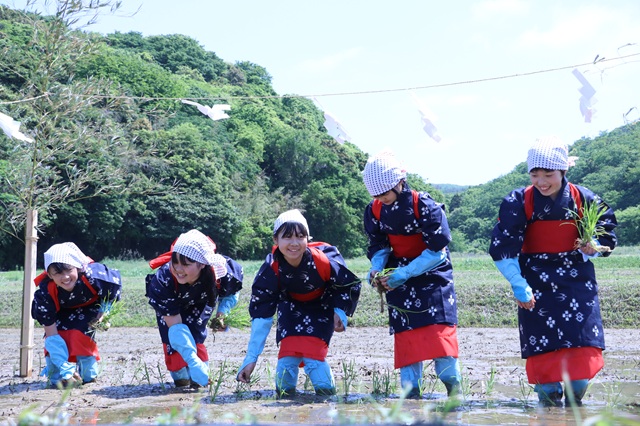 御田植式の様子
